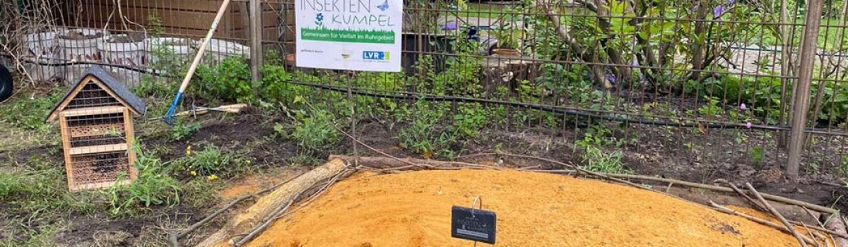 Blumenbeet mit Sandarium