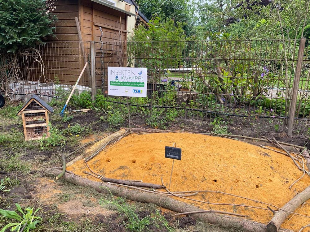 Blumenbeet mit Sandarium